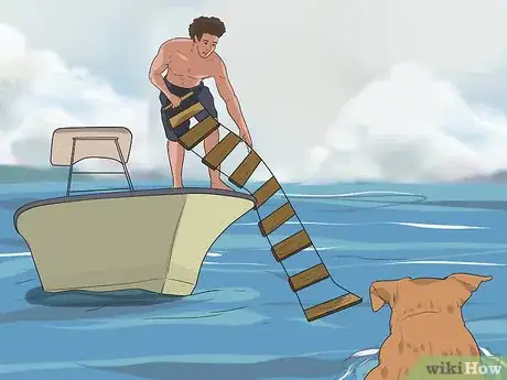 Image titled Go Boating With Your Dog Step 5