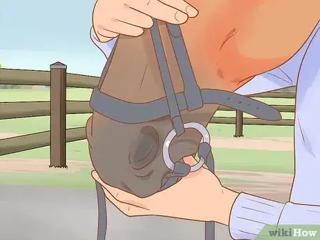 Image titled Tack Up Using English Tack Step 10