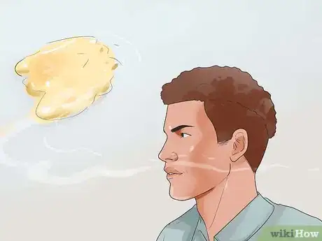 Image titled Diagnose Diabetes in Miniature Schnauzers Step 7