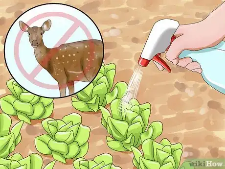 Image titled Keep Deer Out of a Garden Step 6