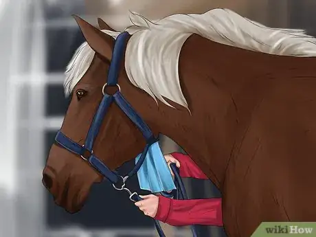Image titled Choose a Horse for Therapeutic Riding Step 1
