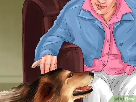 Image titled Introduce a New Dog in a Not Neutral Area Step 3