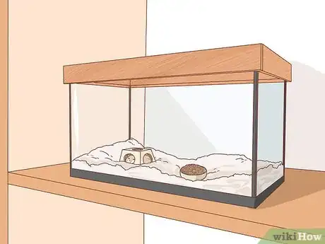 Image titled Diagnose Heart Failure in Gerbils Step 9