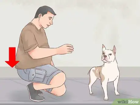 Image titled Become Friends with an Unfriendly Dog Step 5