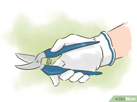 Image titled Prune Clematis Step 2