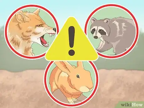 Image titled Camp in the Woods Step 25