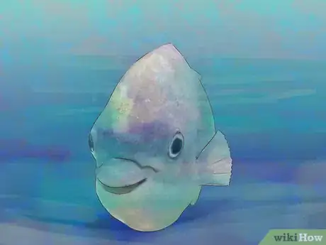 Image titled Hold a Fish Step 2