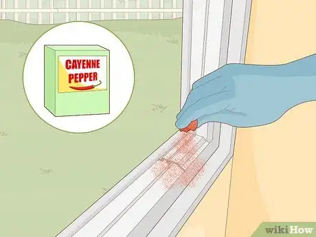 Image titled Prevent Millipedes Step 14