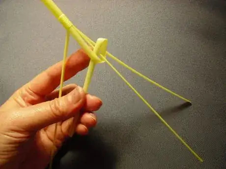 Image titled Shachi9_933.JPG