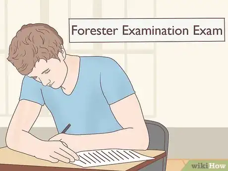 Image titled Become a Forester Step 3