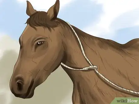 Image titled Choose a Horse for Therapeutic Riding Step 6