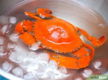 Image titled Prepare Crabs Step 11