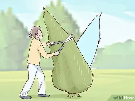 Image titled Prune Arborvitae Step 14