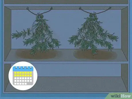 Image titled Harvest Tarragon Step 10