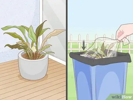 Image titled Prevent Millipedes Step 12