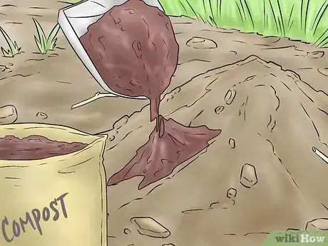 Image titled Plant a Tulip Poplar Tree Step 5