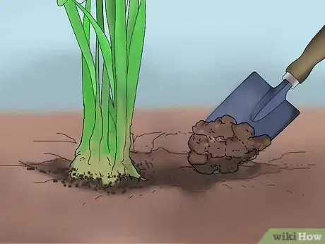 Image titled Plant a Low Water Garden Step 8