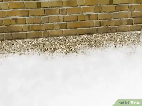 Image titled Get Rid of Silverfish Step 8