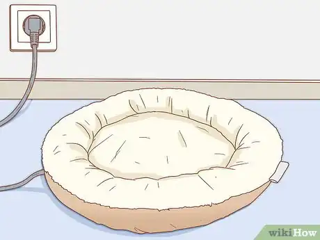 Image titled Protect Cats During Winter Step 10