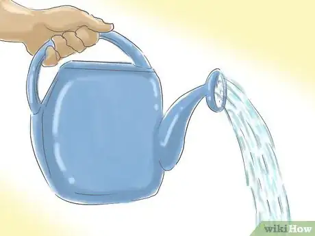 Image titled Plant a Lawn from Stolons Step 12