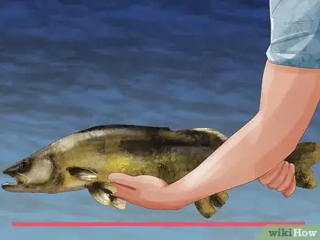 Image titled Hold a Fish Step 6