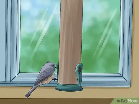 Image titled Use a Backyard Bird Feeder Step 11