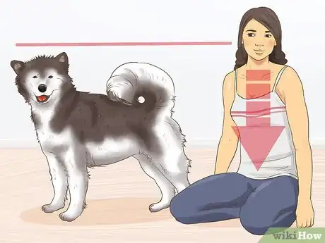 Image titled Meet Someone's New Dog Step 5