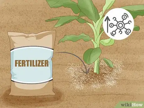 Image titled What Is the Best Fertilizer for a Vegetable Garden Step 6