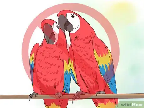 Image titled Treat Macaw Wasting Disease Step 8