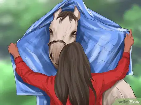 Image titled Choose a Horse for Therapeutic Riding Step 7