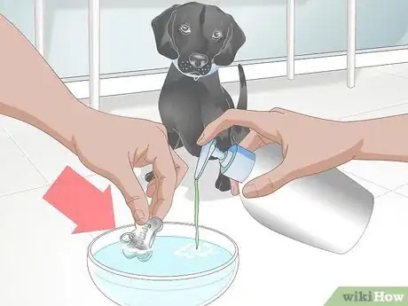 Image titled Clean Your Dog's ID Tag Step 1