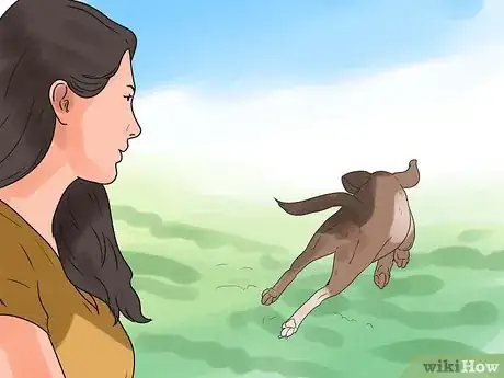 Image titled Teach Your Dog to Bolt from a Standing Start Step 8