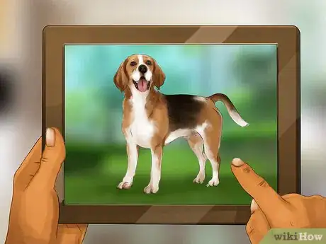 Image titled Adopt a Service Dog Step 13