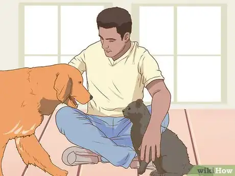 Image titled Help a Pet Grieve Step 8