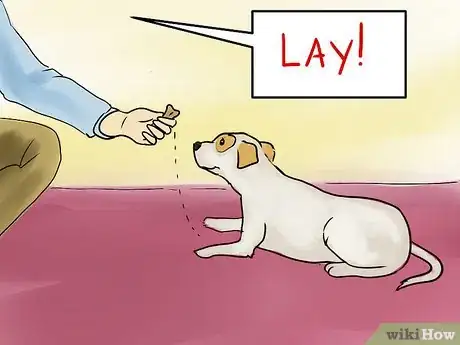 Image titled Teach a Small Dog to Lie Down on Command Step 3