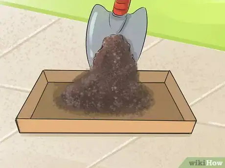 Image titled Propagate Succulents (Without Rooting Hormone) Step 3