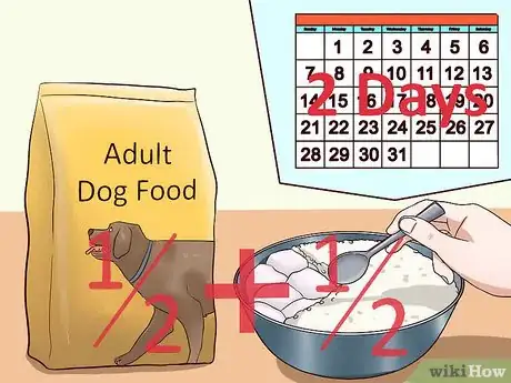 Image titled Ease Your Dog's Stomach Problems Step 16