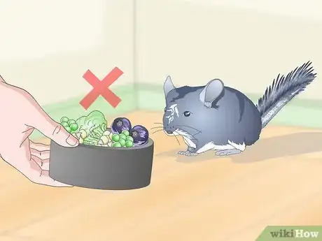 Image titled Help Your Chinchilla Adjust to its New Home Step 13