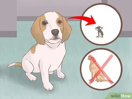 Image titled Choose a Training Program for Your Dog Step 14