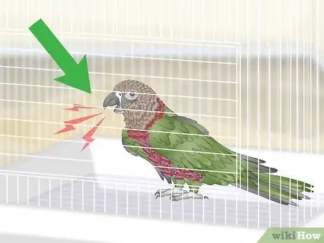 Image titled Handle an Aggressive Hawk Headed Parrot Step 1
