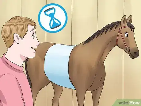 Image titled Handle Equine Wobblers Syndrome Step 9