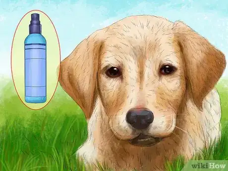 Image titled Keep Your Dog Safe on a Boat Ride Step 6