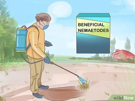 Image titled Get Rid of Garden Moles Step 13