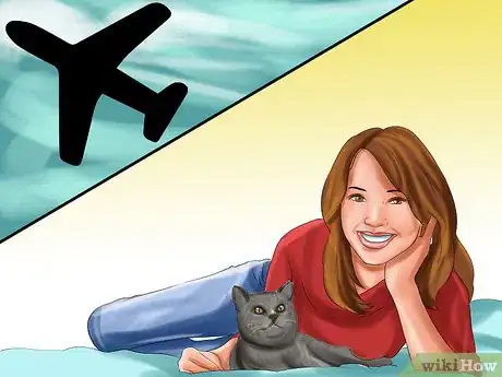 Image titled Choose a Cat‐Friendly Vacation Destination Step 2