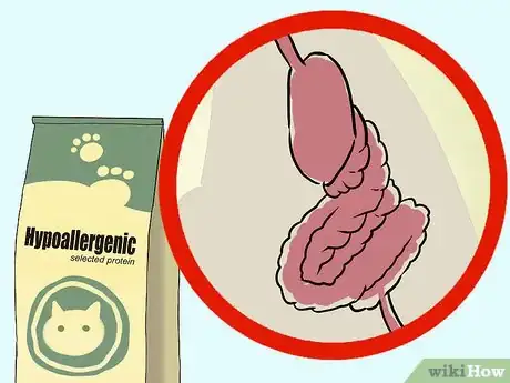 Image titled Diagnose Chronic Vomiting in Cats Step 18