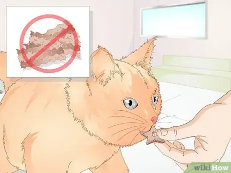 Image titled Stop a Cat from Licking Stuffed Animals and Blankets Step 4