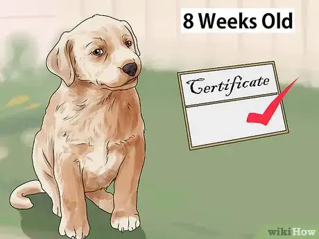 Image titled Help Shut Down Puppy Mills Step 4