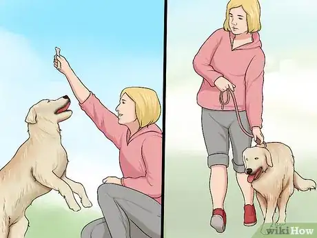 Image titled Adopt a Dog from a Humane Society or Animal Shelter Step 11