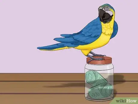 Image titled Calculate the Cost to Adopt a Parrot Step 1