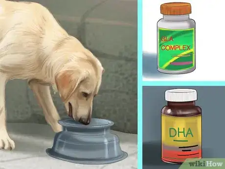 Image titled Feed Your Senior Dog a Healthy Diet Step 9